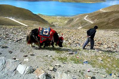Kairen's_Tibet_179_2001-10-01 04.19.40 IMG_5274.JPG
